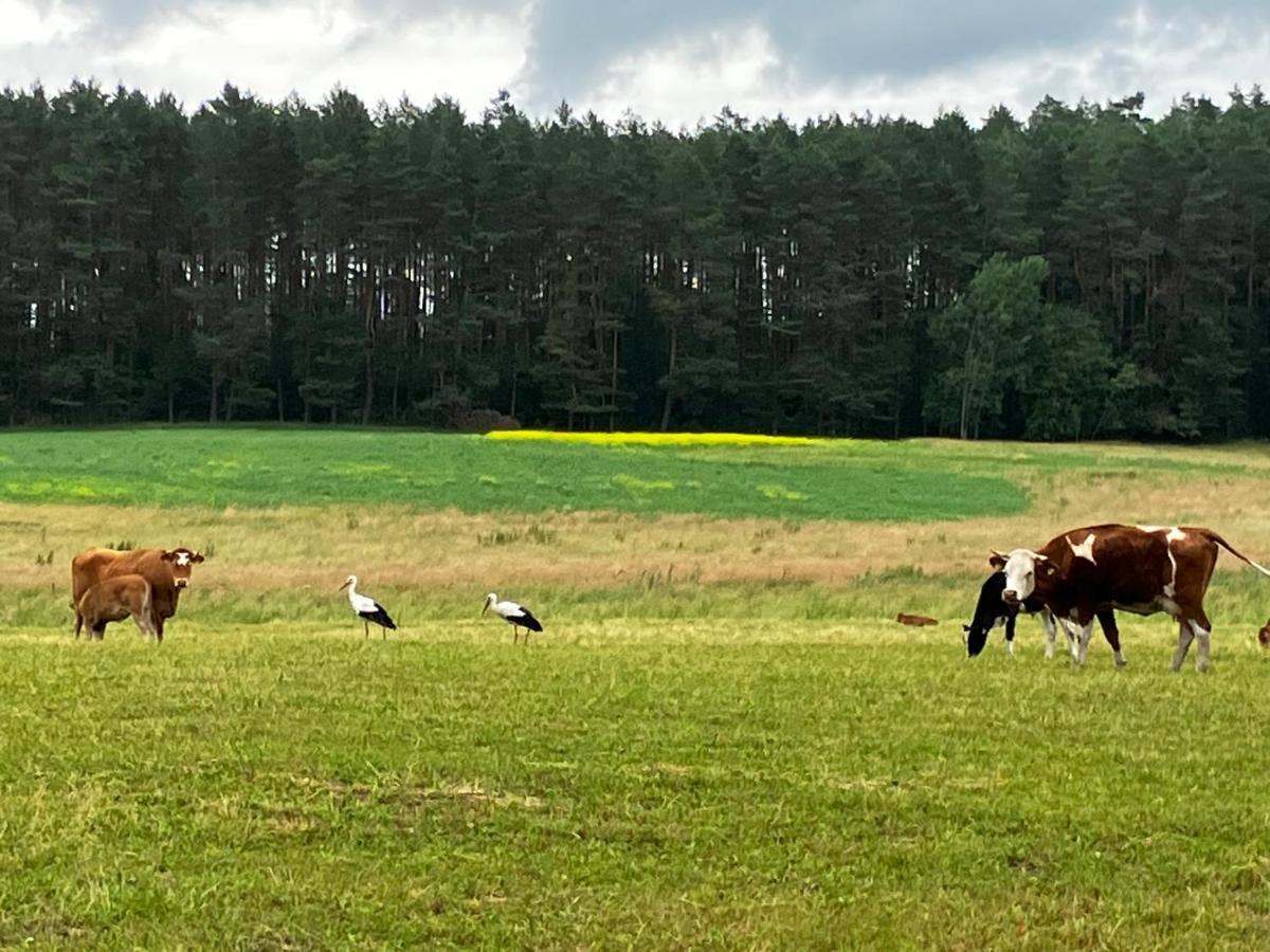 Mazury Glamping Kruklanki Polana Zyczen Hotel Bagian luar foto