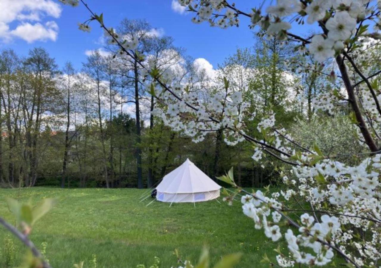 Mazury Glamping Kruklanki Polana Zyczen Hotel Bagian luar foto